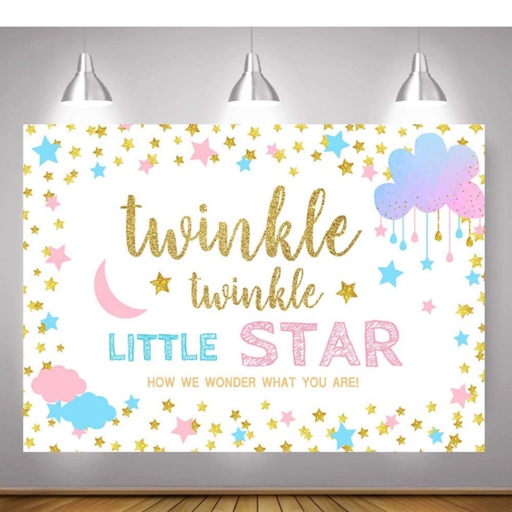 Gender Reveal Baby Shower Backdrop